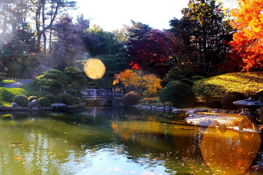 A pond and trees in autumn in NYC Botanical Garden ©icasavechia/Depositphotos
