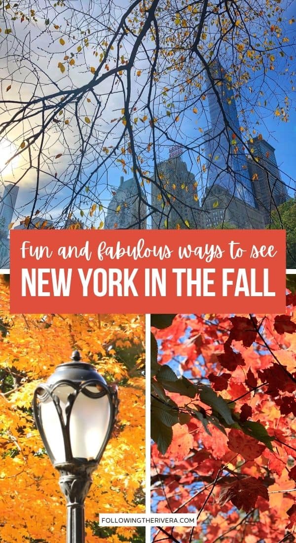 Photos of trees and red and yellow leaves in Central Park New York City - NYC in the fall