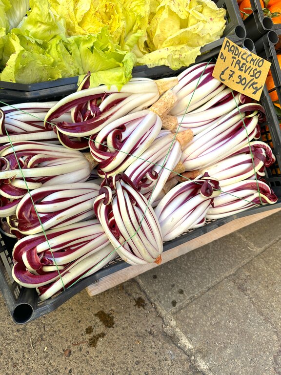 Radicchio Tardivo di Treviso in a crate - Venice in winter
