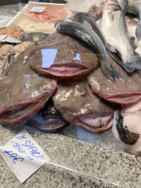 Close-up of fresh fish and seafood at the fish market in Ljubljana, Slovenia