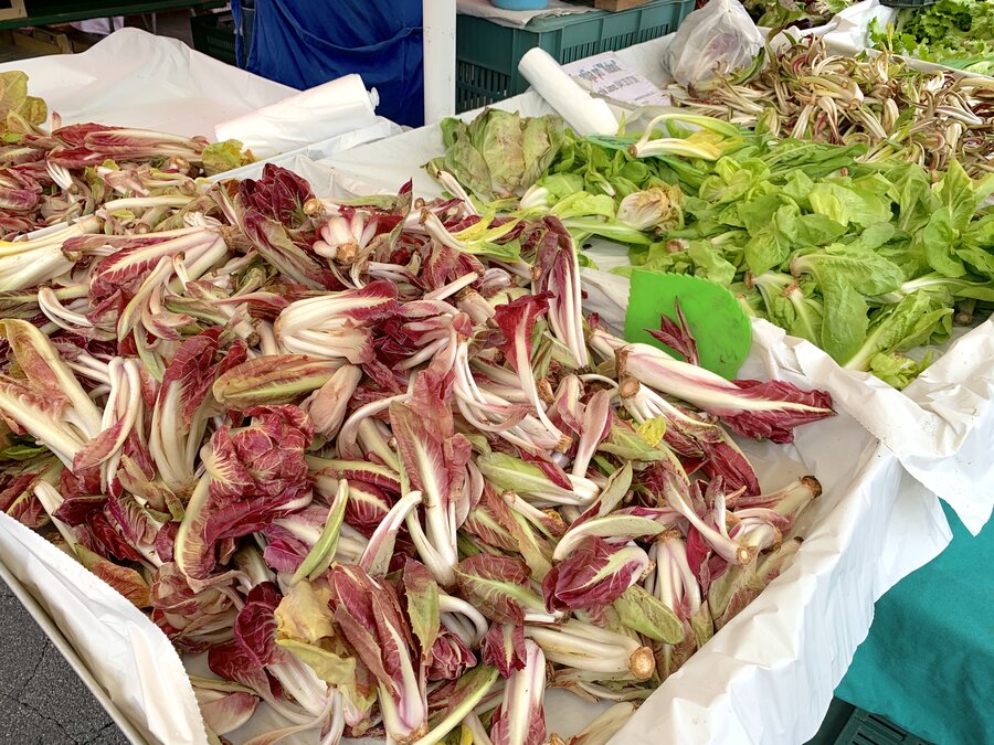 Variety of fresh lettuce leaves at the central market in Ljubljana, Slovenia
