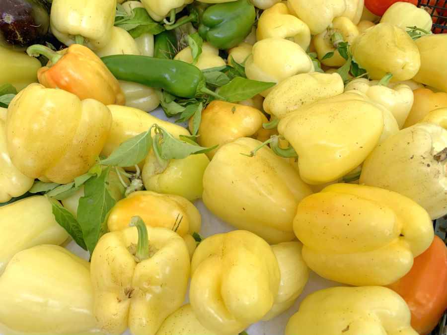 Assortment of fresh yellow peppers at the central market in Ljubljana, Slovenia