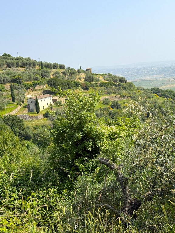 Landscape surrounding Montalcino Tuscany Italy