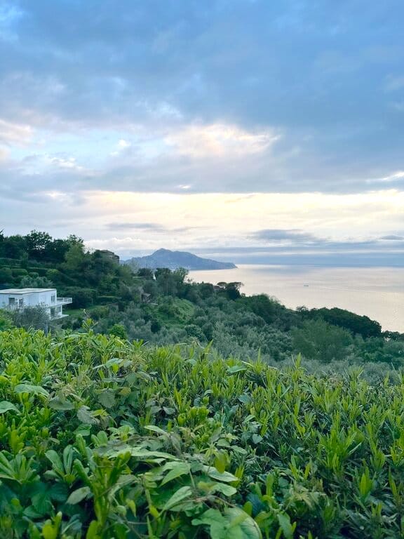 View of Capri from Gocce di Capri Resort - Amalfi Coast vacations