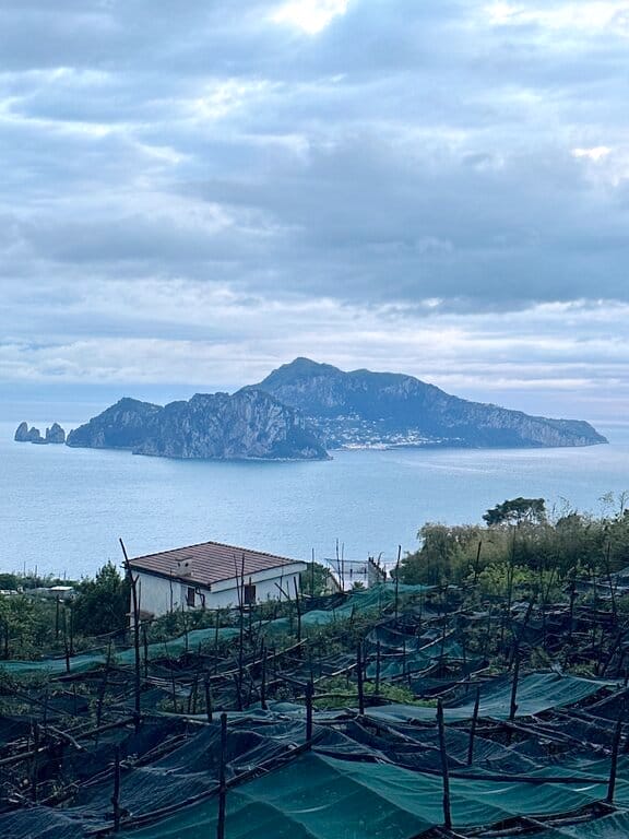 View of Capri from Massa Lubrense - Amalfi Coast Italy