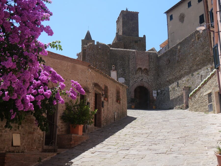 The medieval gate of Porta di Santa Maria del Giglio in Castiglione della Pescaia, framed by vibrant fuchsia bougainvillea flowers