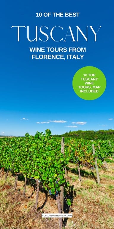 Vineyard in Chianti Tuscany - best Tuscany wine tours from Florence