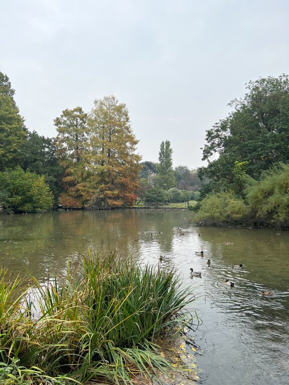 A pond in Sempione Park Milan Italy