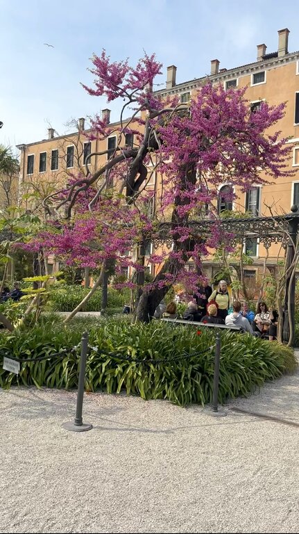 Flowers inside the Royal Gardens in Venice Italy