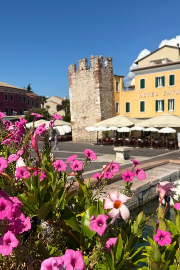 Pink flowers overlooking a tower in Bardolino, Lake Garda