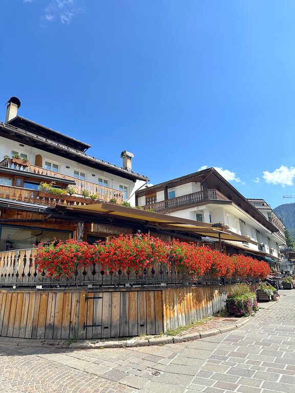 Red flowers on wooden terrace in Cortina d Ampezzo