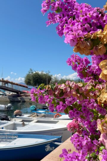 Pink flowers overlooking boats at the harbor in Bardolino, Lake Garda Italy - day trips from Verona Italy