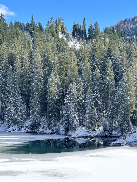 Snow covered trees surrounding Lake Carezza in the Dolomites during Italy’s February season
