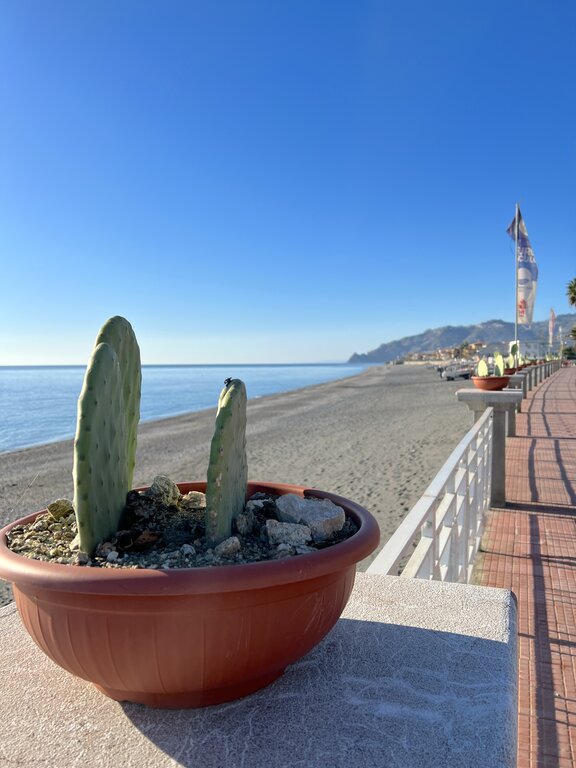 A cactus in a ceramic bowl on a terrace overlooking the free beach at Furci Siculo on Sicily's Ionian coast