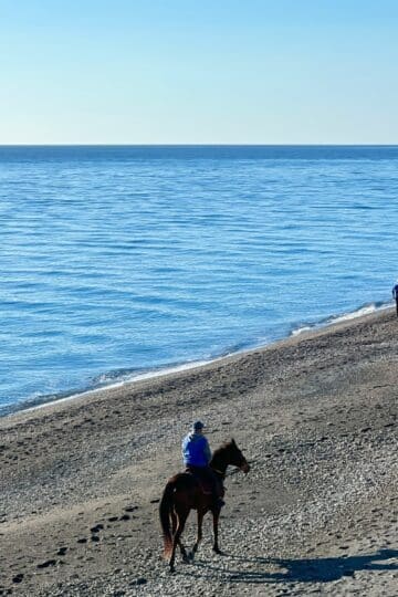 A man on horse on the beach in Santa Teresa di Riva, Sicily in winter